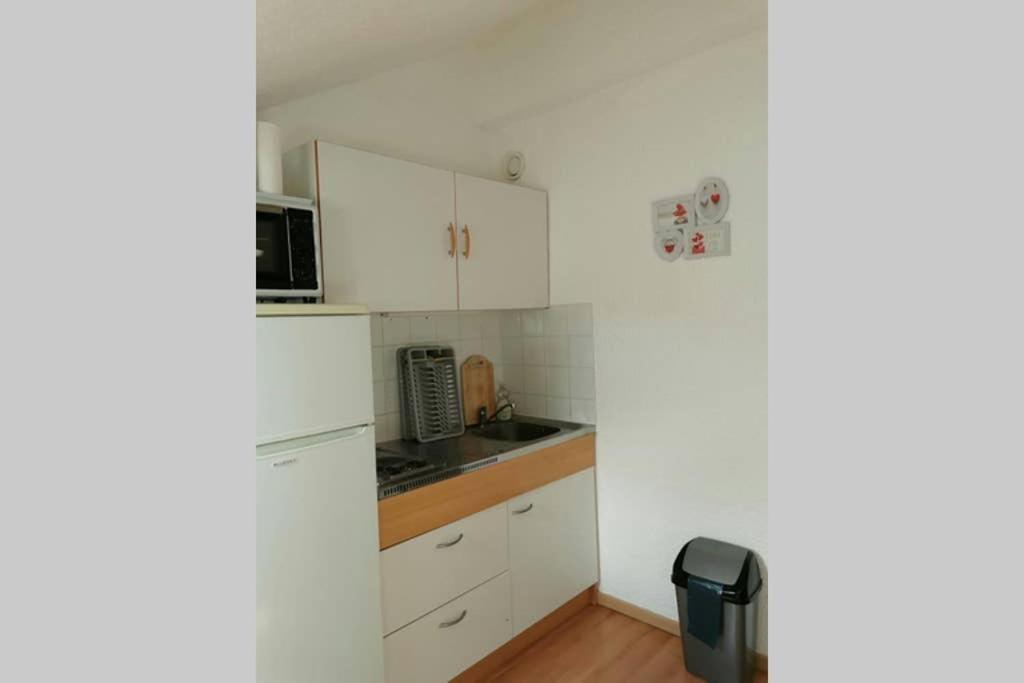 Petit Studio Mansarde 18 M2 Avec Navette Gratuit Aux Pistes De Ski Gresse-en-Vercors Ngoại thất bức ảnh